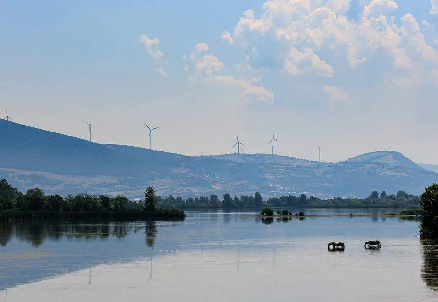 Ostrovul Moldova Veche