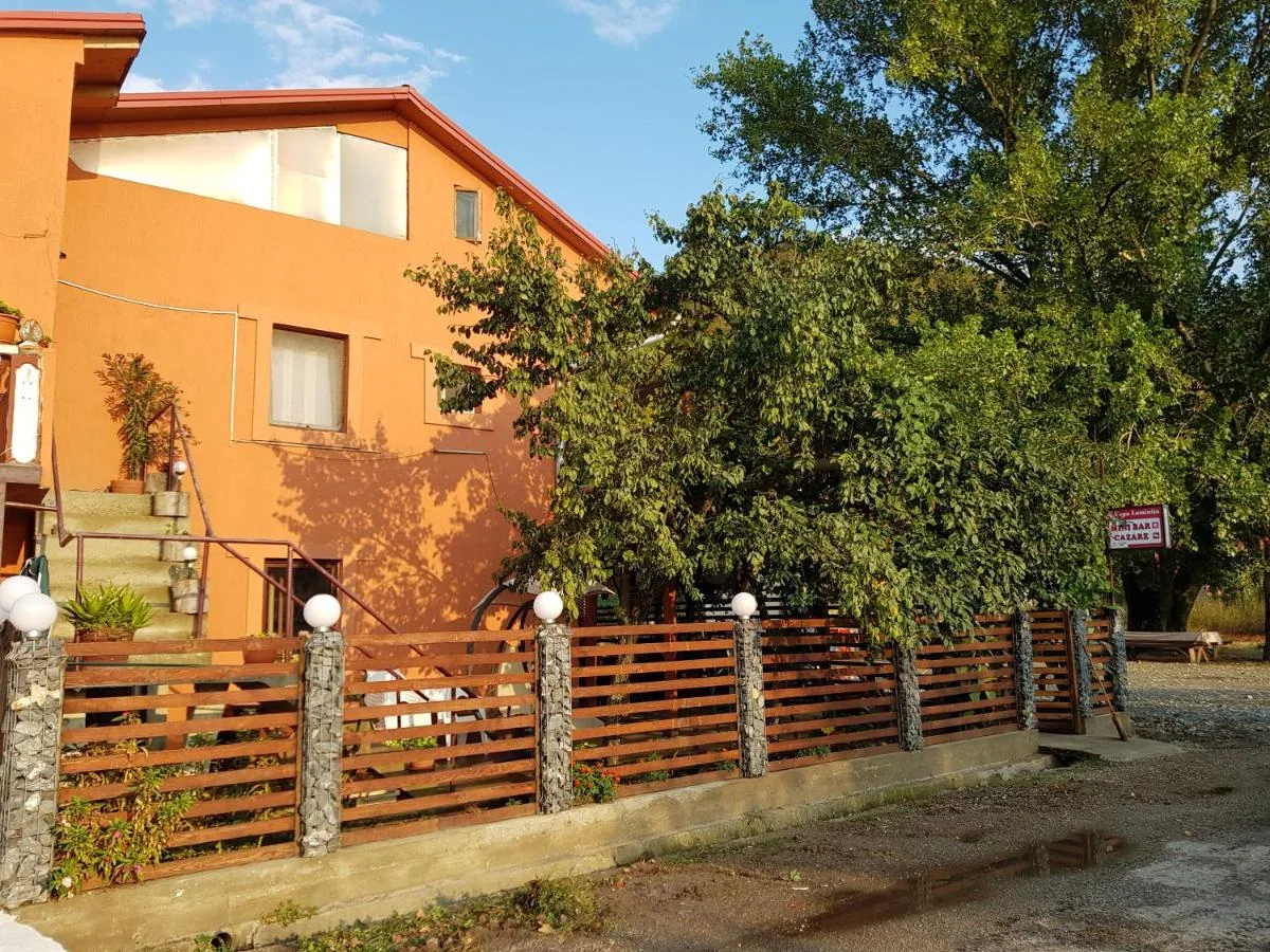 Casa Pescărușul Vesel din Baziaș