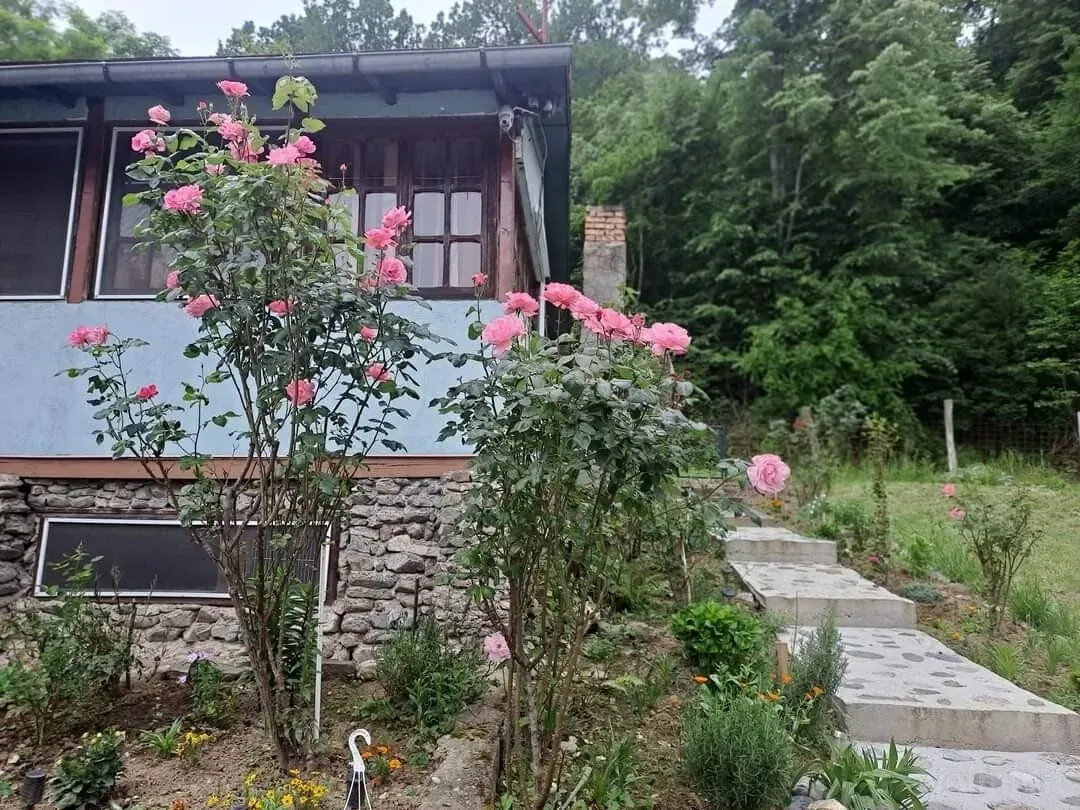 Fotografie de la Casa Elyana, Eșelnița