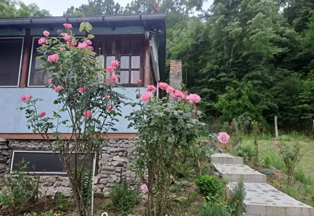 Fotografie de la Casa Elyana, Eșelnița