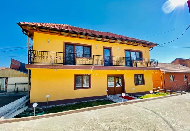 Fotografie de la Casa Radu, Eșelnița