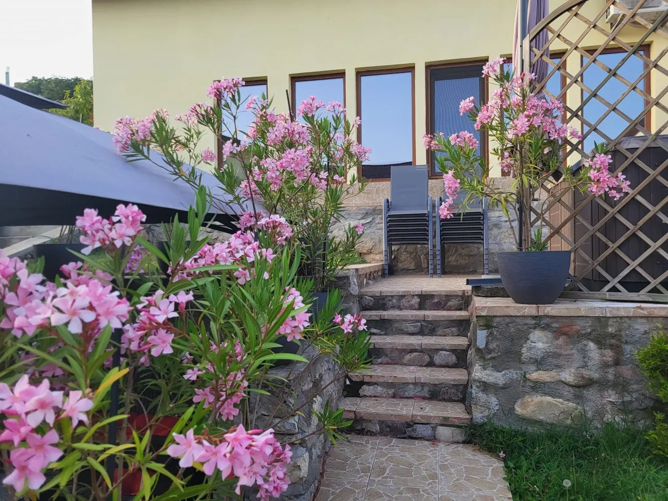 Fotografie de la Casa Cu Smochine, Svinița