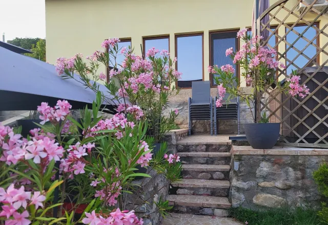 Fotografie de la Casa Cu Smochine, Svinița