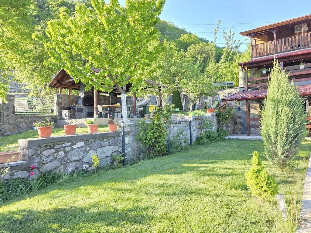 Fotografie de la Casa David, Svinița