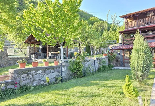 Fotografie de la Casa David, Svinița